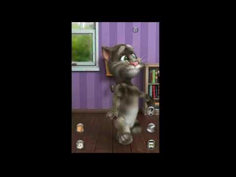 Tutorial del juego TALKING TOM CAT 2