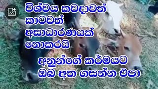 අනුන්ගේ පව් ඔබේ පව් කරගන්න එපා