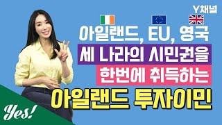 3개 국가의 시민권을 한번에 취득할 수 있는 아일랜드 투자 이민  / Y채널