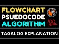 Flowchart Pseudocode and Algorithm Explained (How They Work Together)