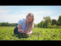 Find delicious Minnesota Grown berries at a farm near you!