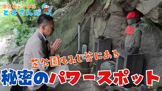 【港区 とよさんぽ Vol.176】金運上昇！？知る人ぞ知る、港区の隠れパワースポットを紹介、紅葉シーズンにお勧め！もみじ谷 in 芝公園　#港区 #散歩 #パワースポット #東京タワー