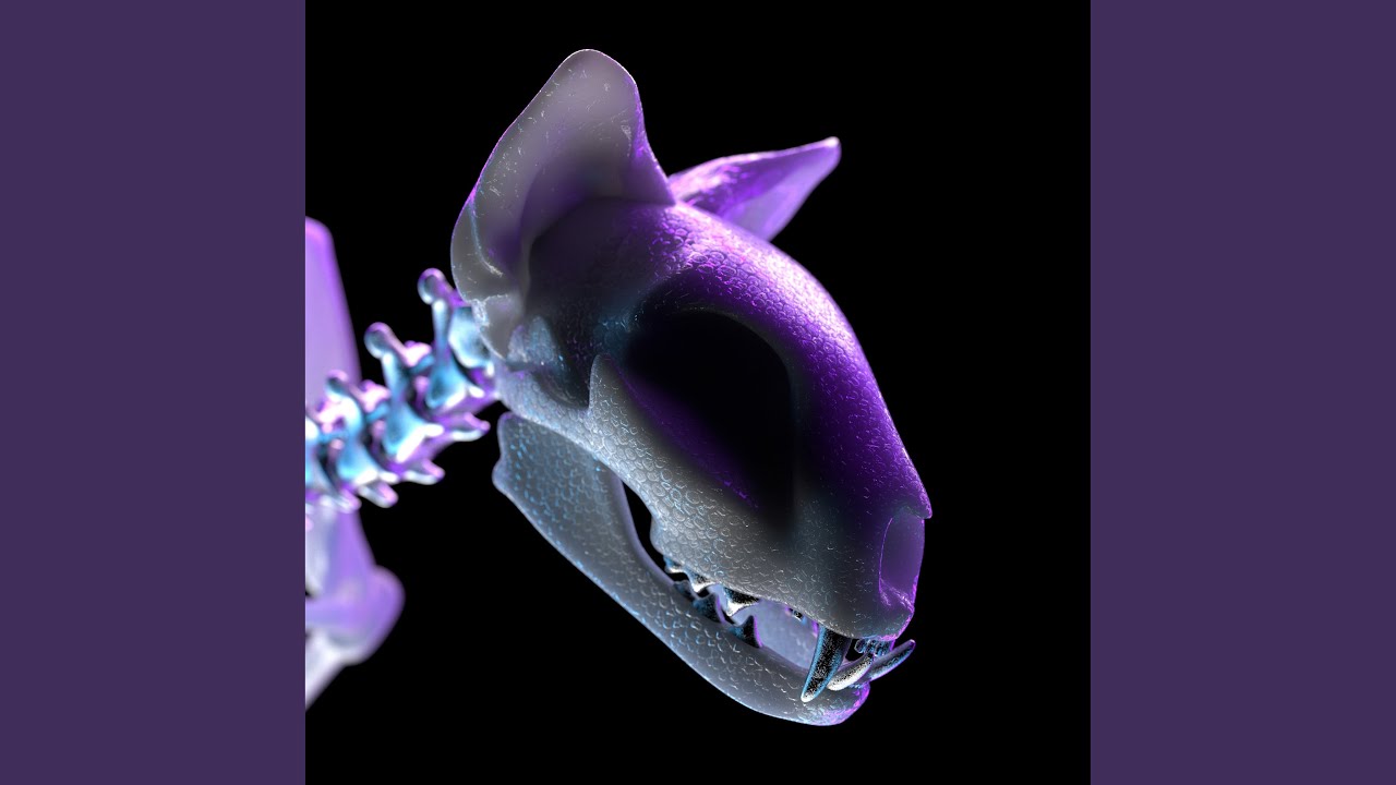 Wild Horse Youtube Music