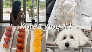 🇰🇷[ENG]Korea vlog #1 | 워홀 포기🫥 귀국을 했고, 환자가 됐고, 백수가 되었다.