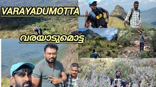 Varayadu Motta / വരയാടുമൊട്ട) is the tallest peak in the #Ponmudi #mountain