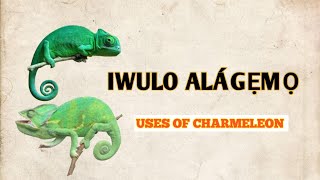 IWULO ALÁGẸMỌ( ọgá ) fún asiri owo @Dromoodoagbatv #video #viral #youtube #tips #subscribe