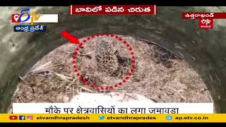 Leopard Found in Well | at Uttarakhand's Nainital | బావిలో పడిన చిరుత