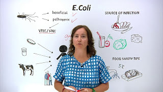 What is E.Coli? What can you do to protect yourself and others?