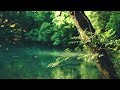 Relaxing Music 24/7: Study Music, Light Music, Spa Music Relaxing Music 24/7: Study Music, Light Music, Spa Music