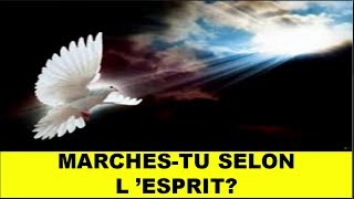 Marches-tu selon l'Esprit ? 1/2