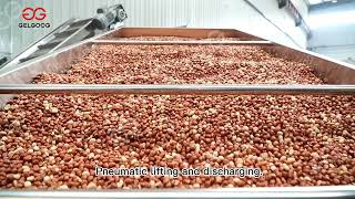 100Kg/h Fully Automatic Peanut Butter Production Line For Commercial Use