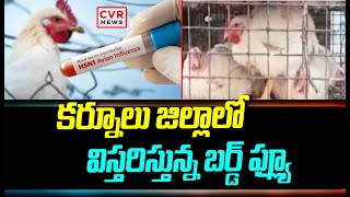 కర్నూలు జిల్లాలో విస్తరిస్తున్న బర్డ్ ఫ్ల్యూ| Bird flu spreading in Kurnool district| CVR News