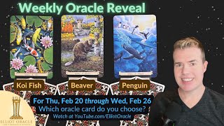 Weekly Tarot Oracle Reveal 🔮✨ | Tarot Reading for Feb 20 to Feb 26th | Elliot Oracle 🐟 🦫 🐧