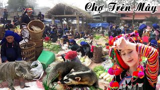 CHỢ ĐỒ RỪNG CAO NHẤT TỈNH LÀO CAI - MỘC MẠC - NGUYÊN SƠ & BÁN RẤT NHIỀU ĐỒ QUÝ - ĐẶC SẢN ĐỘC LẠ