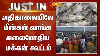 Nagapattinam | நாகை துறைமுகத்தில் மீன்கள் வாங்க அதிகாலையிலே அலைமோதிய கூட்டம் | Fish | Sun News