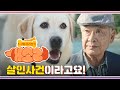 [1-2회 미리보기] 이 사건 자살 아니고 타살이에요! 살인사건이라고요! [개소리/Dog Knows Everything] | KBS 방송