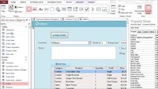 Access 2013 Customizing Form Settings