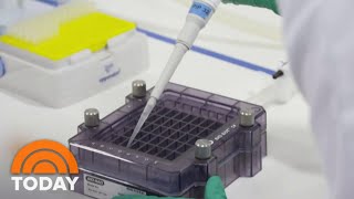 Pfizer Begins Human Trials Of Possible Coronavirus Vaccine | TODAY
