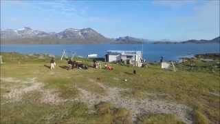 Summer near Kangaamiut