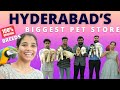 Biggest & Cheapest Pet Shops in Hyderabad | Best Budget Pet Shops in Miyapur | Danny Pet Store