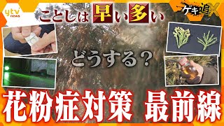 今年は早くて多い！一回発症すると基本的には治らない「花粉症」　今すぐ家庭でできる対策を紹介！そして、花粉“撲滅”に向けた最新の研究を追う【かんさい情報ネットten.特集/ゲキ追X】