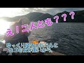 【伊根の舟屋】　久しぶりの釣場　風情ある風景 　～後編～