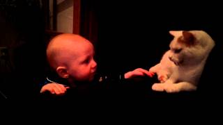 Blake gets told off by the cat
