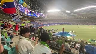 Japan Baseball In the Nagoya Dome - Tokyo Swallows vs Nagoya Dragons - Amazing Travel Experience