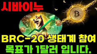 [시바이누코인] 중국이 사랑하는 BRC-20 네트워크 합병! 중국자본 대거유입된다. 목표는 1달러!