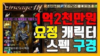 [지노] 1억 2천만원 요정 캐릭터 스펙 안내 [리니지M] [天堂M] [LineageM] [リネージュM]