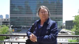 Alma Brooks at the UNPFII 2014 - introduction (0:21)