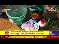 വടക്കാഞ്ചേരി നഗരസഭ സ്വച്ച് സര്‍വേഷന്റെ ഭാഗമായി പൊതു ഇടങ്ങളിൽ വർണ്ണ വിസ്മയം തീർക്കുന്നു