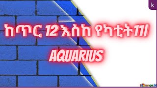 Aquarius ከጥር 12 እስከ የካቲት 11| Aquarius women