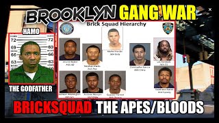 Brooklyn Gang War - Who Is Bricksquad (The Apes/Stones Bloods) 2019 Indictment