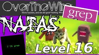 Python Web Hacking: Blind Grep & RCE | Natas: OverTheWire (Level 16)
