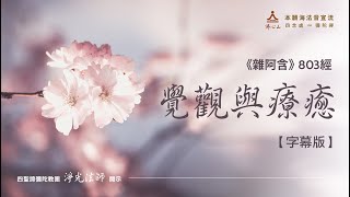 《雜阿含》803經：覺觀與療癒【字幕版】__ 淨光法師開示