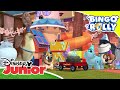 Bingo y Rolly: Feliz cumpleaños | Disney Junior Oficial