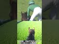 【競馬】『イロゴトシ』藤岡康太騎手へ勝利の報告を。【中山gj】 short 競馬