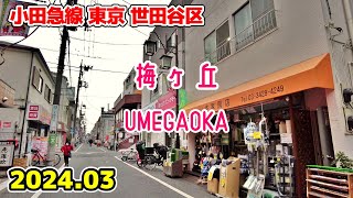 東京散歩 梅ヶ丘 Tokyo Japan, Walk in Umegaoka 小田急線 世田谷区