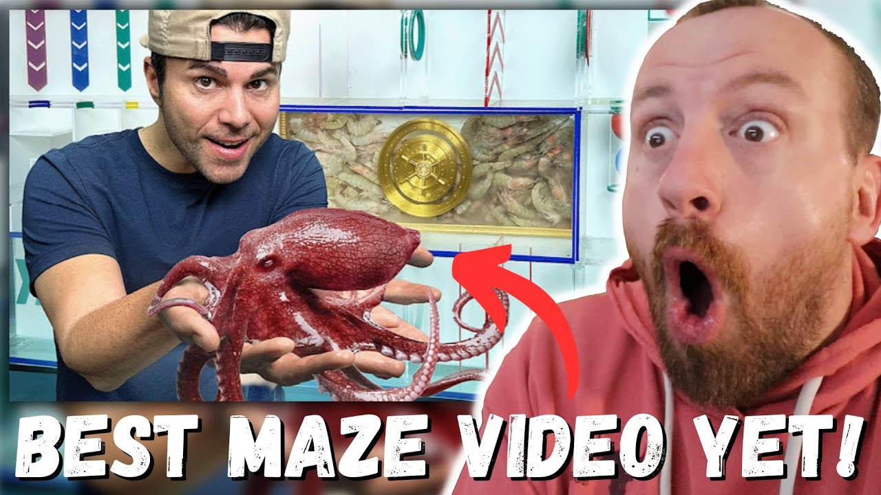 BEST MAZE VIDEO YET! Mark Rober Octopus Vs Underwater Maze (FIRST ...