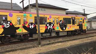 くまもんラッピング電車