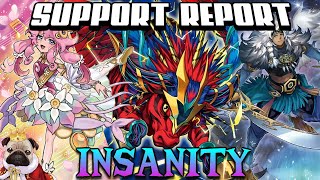 Support Report 2023 - Part 3: Insanity