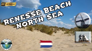 Sunny Day on the RENESSE Beach | Netherlands | North Sea | Zeeland | GoPro 11 \u0026 iSteady Pro 4