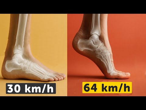 Can a human run 80 mph?