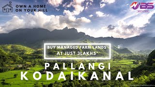 NBS Estates - Pallangi Kodaikanal | Farmland For Sale | Sparking Hills | Earn 1Lakh Per Annum|