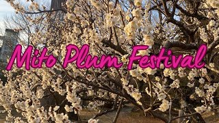 MITO PLUM FESTIVAL ||  JAPAN TRAVEL ||4K