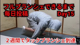 【Day15】フルプランシェ出来るまで毎日投稿 - Road to full planche -