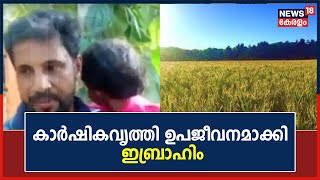 19 വര്‍ഷത്തെ പ്രവാസ ജീവിതത്തിന് ശേഷം കാര്‍ഷികവൃത്തി ഉപജീവനമാക്കി Malappuram സ്വദേശി ഇബ്രാഹിം