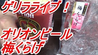 [頑固おやじ]ゲリラライブ！ありがとう視聴者様！梅くらげ・オリオンビール