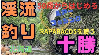 北海道【とかちの渓流遊び】RAPARAのミノーで何が釣れる？＃渓流釣り　＃LUREfishing